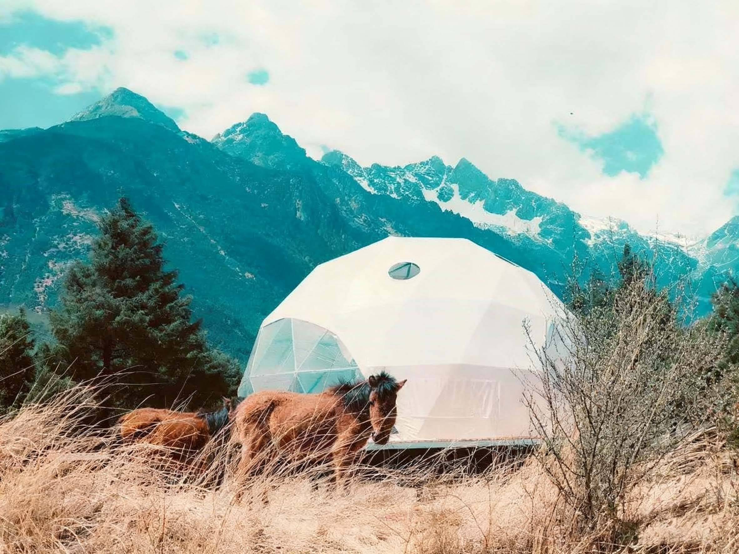 单:佛山好来居金属结构房屋领衔行业开元棋牌app星球帐篷生产商权威榜(图1) 单:佛山好来居金属结构房屋领衔行业开元棋牌app星球帐篷生产商权威榜(图1)